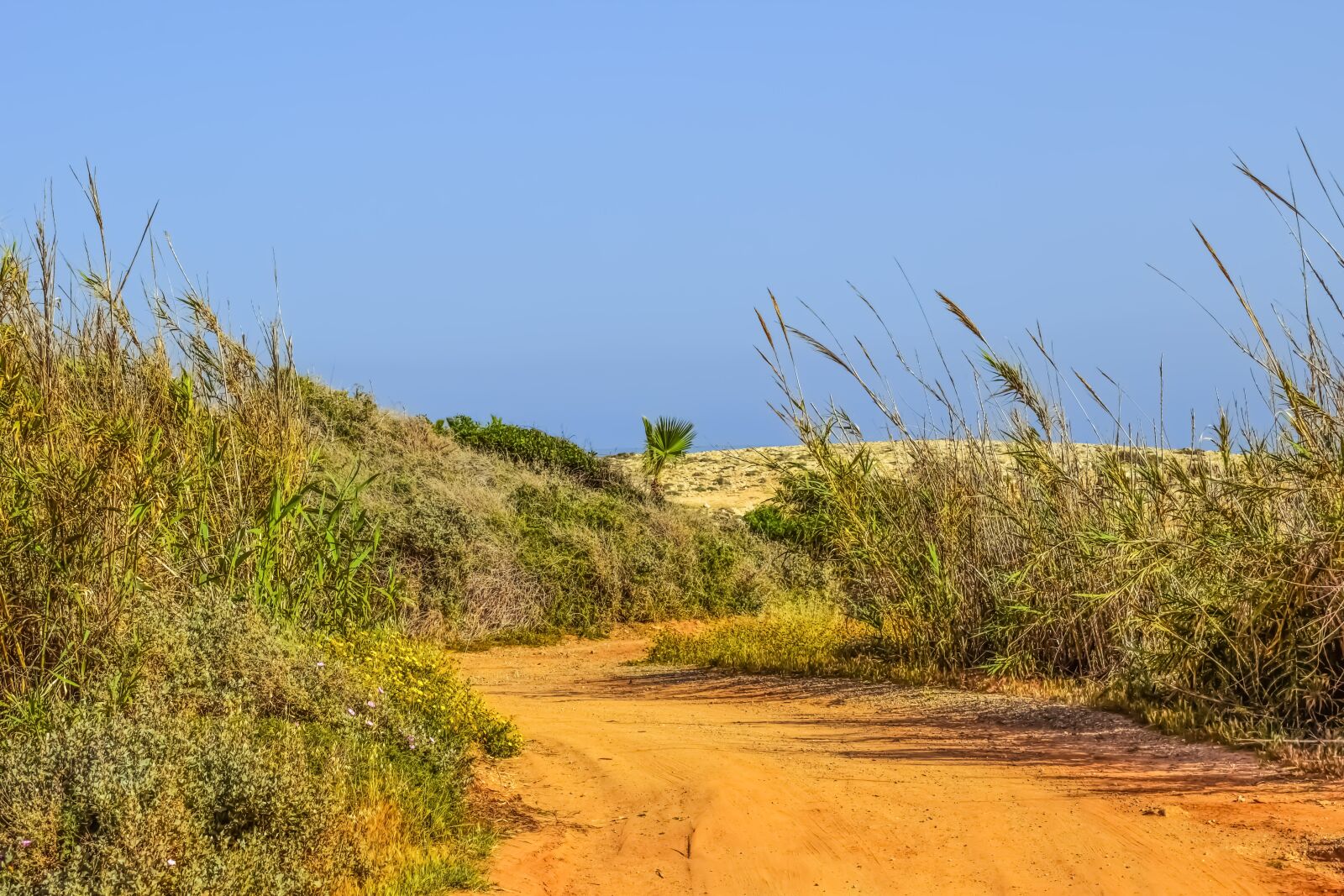 Nikon D3300 sample photo. Dirt road, landscape, scenery photography