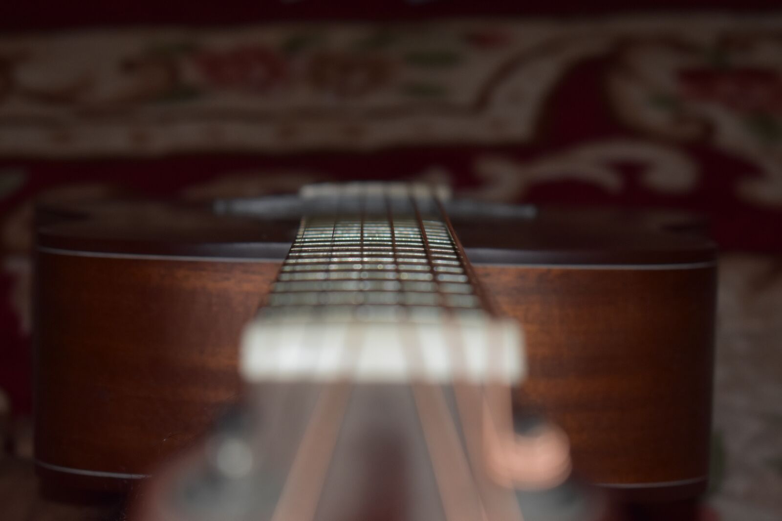 Nikon D3400 sample photo. Guitar, acoustic guitar, instrument photography