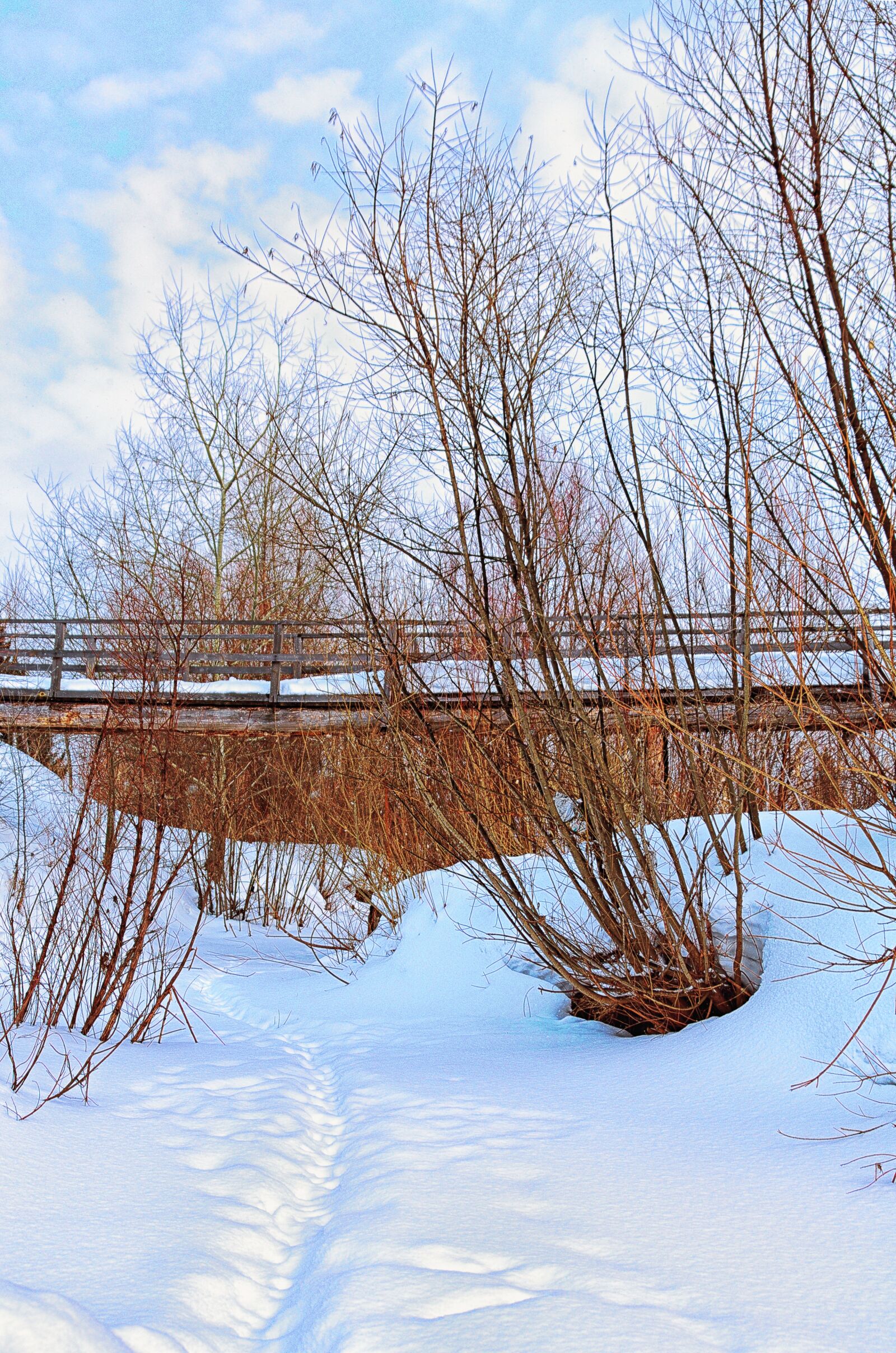 Pentax K-500 sample photo. Winter, bridge, river photography