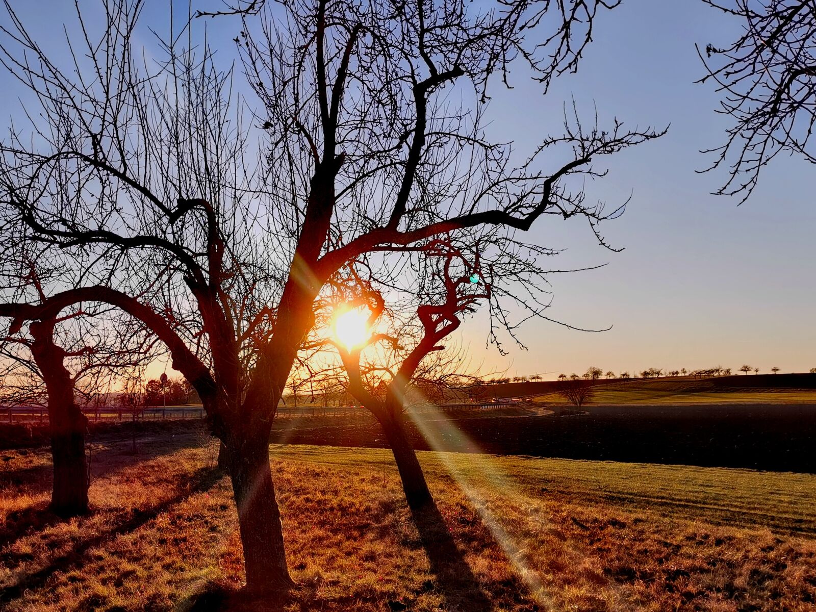 HUAWEI P30 sample photo. Sunset, evening, nature photography