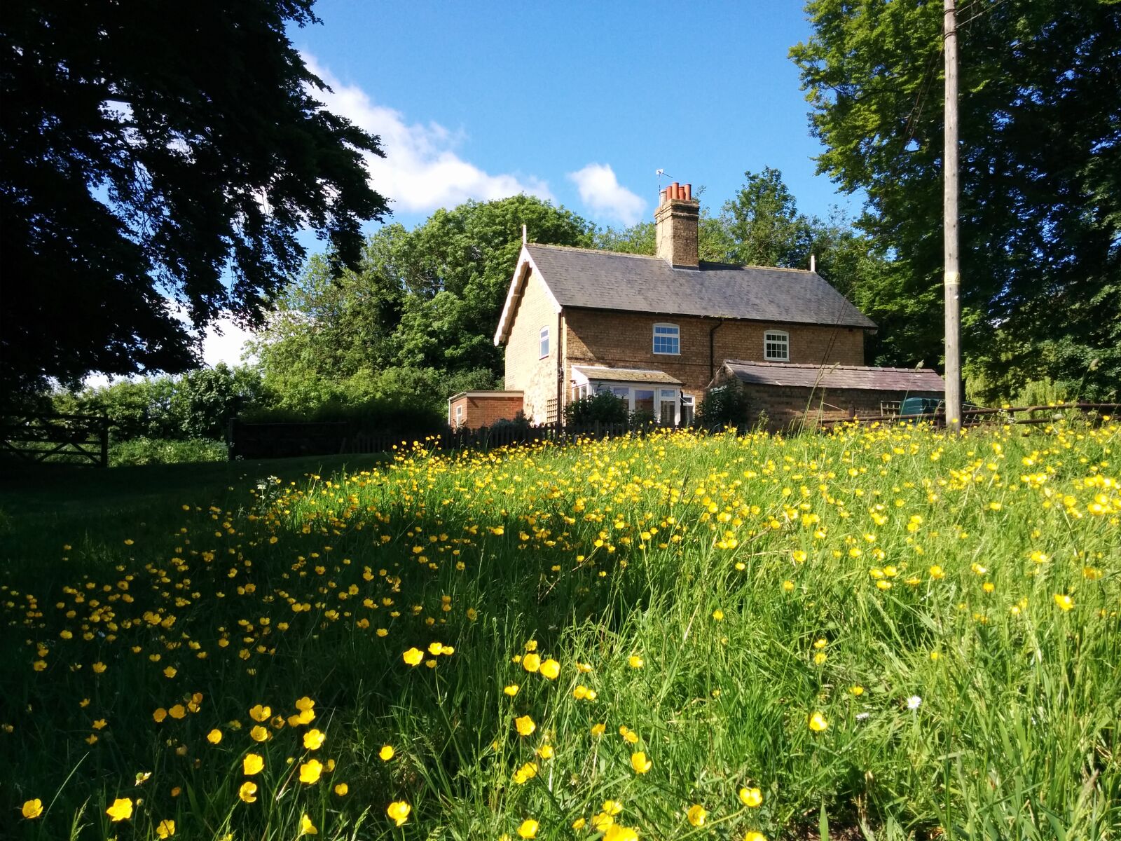 LG Nexus 5 sample photo. Blue, sky, buttercups, cottage photography