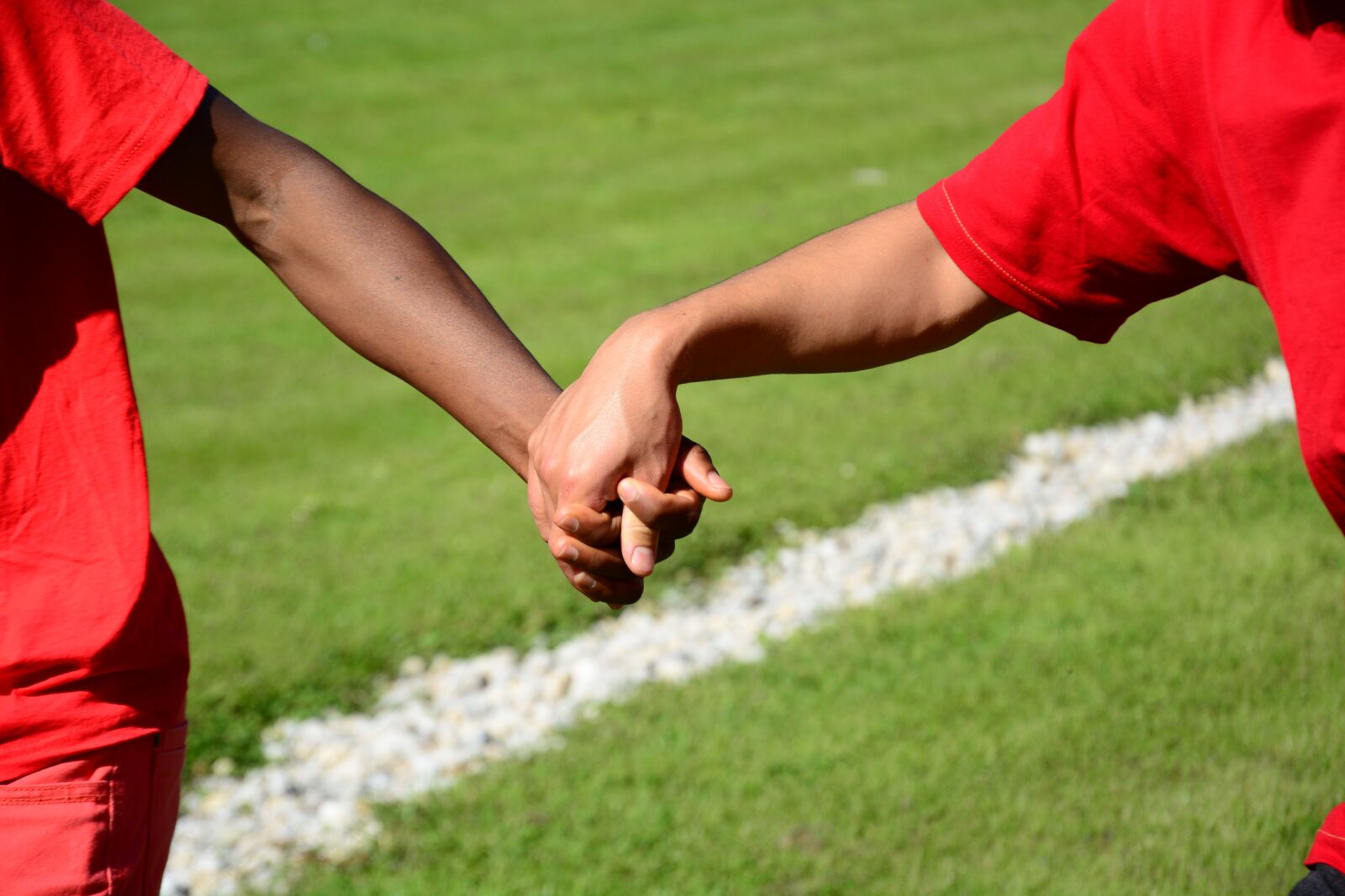 Nikon D5200 sample photo. Handshake, hands, team photography