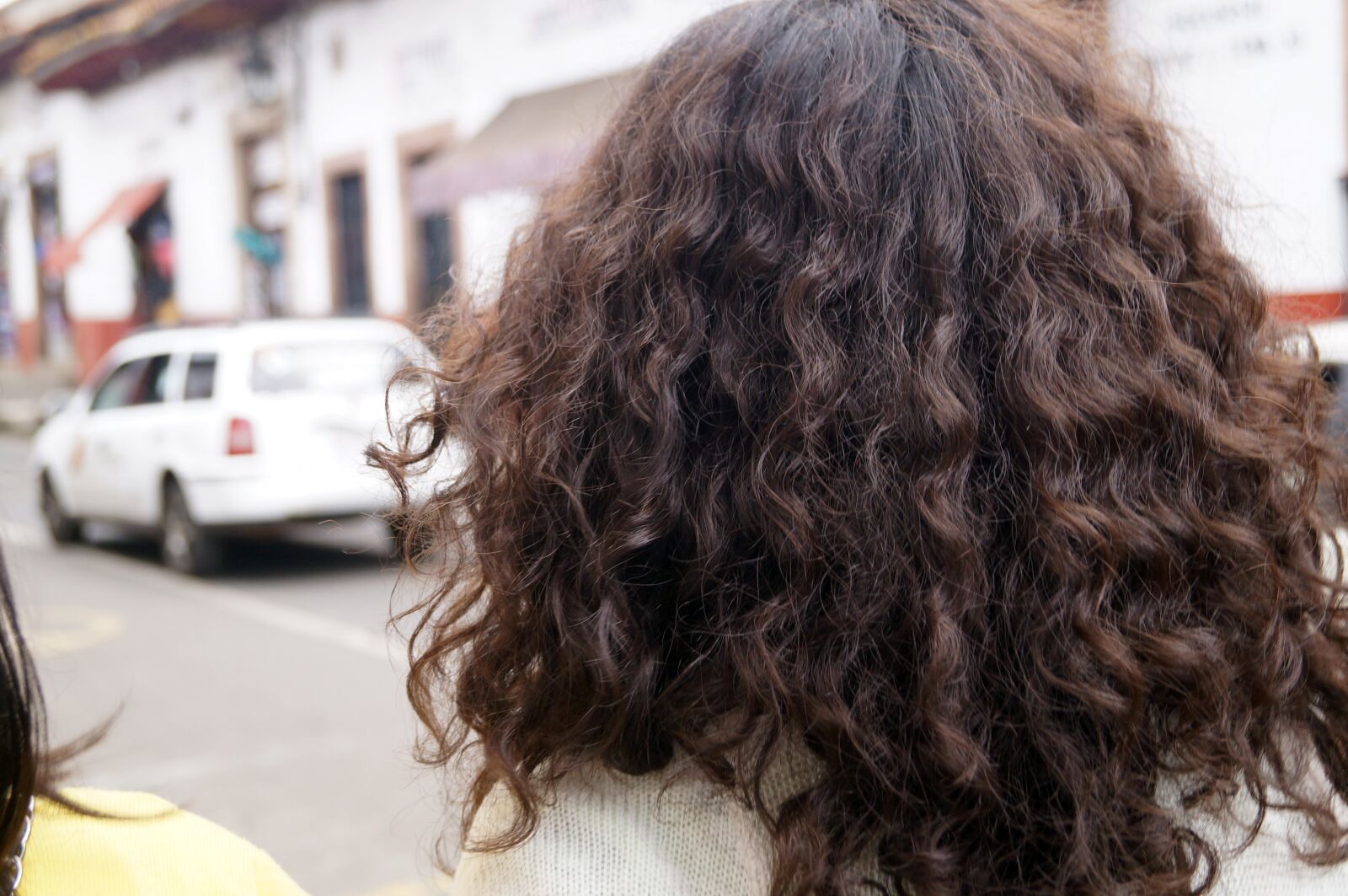 Sony SLT-A37 sample photo. Curly, success, walk photography
