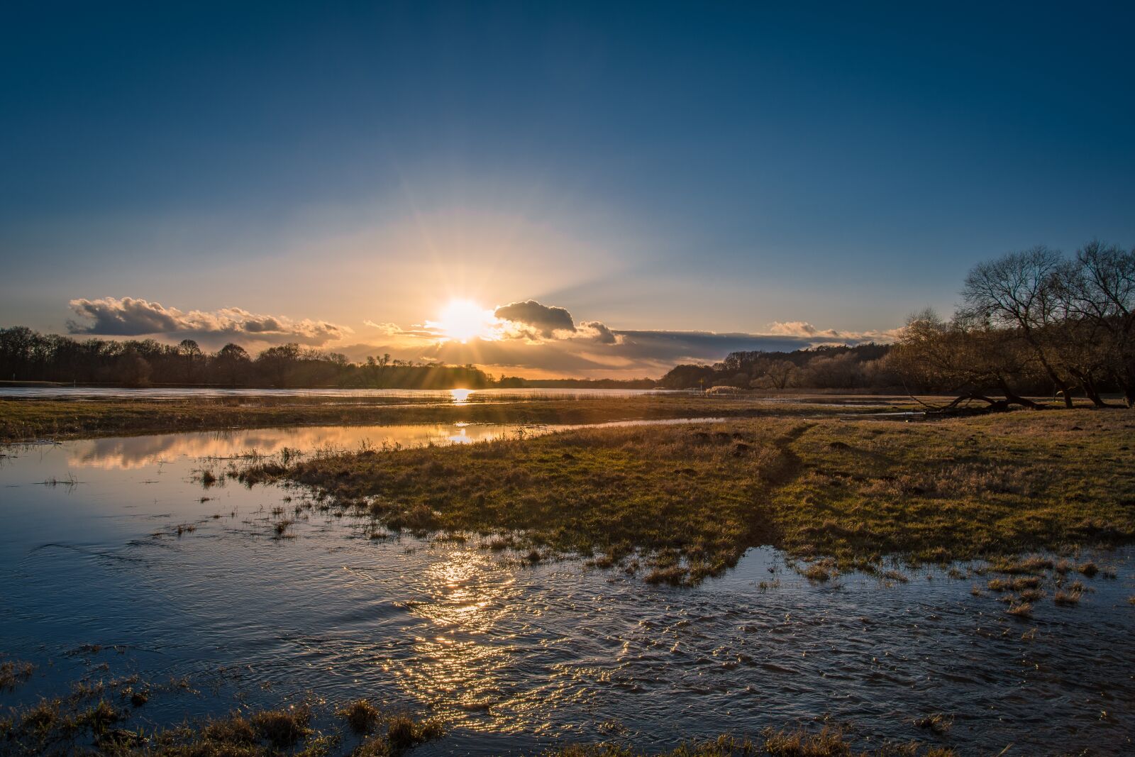 Nikon D7200 sample photo. Elbe, high water, evening photography