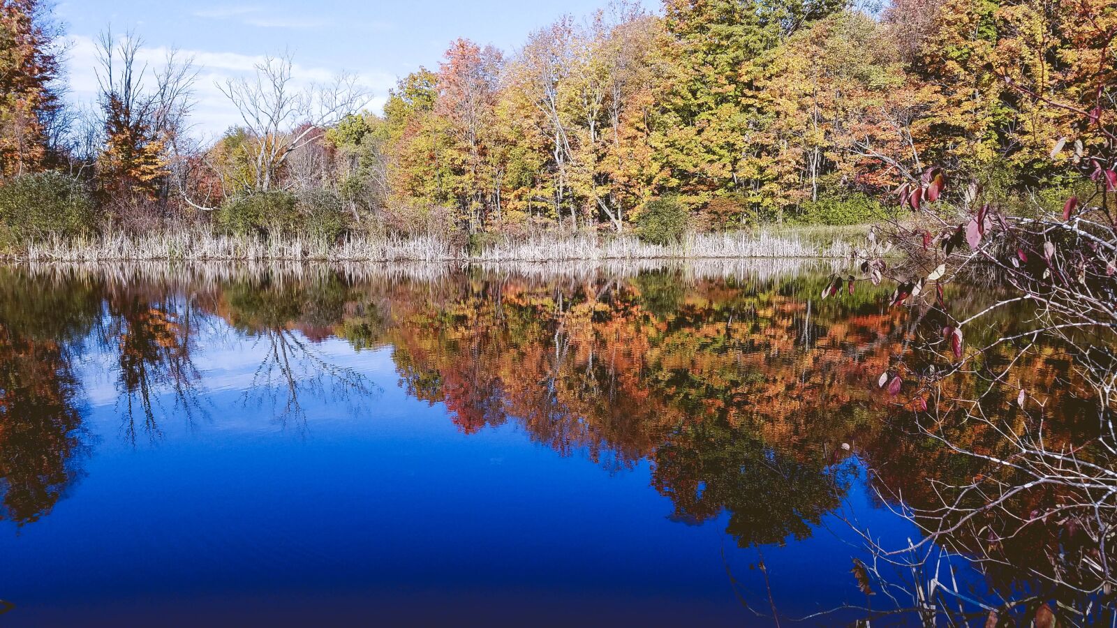 Samsung Galaxy S7 + Samsung Galaxy S7 Rear Camera sample photo. Pond, fall, lake photography