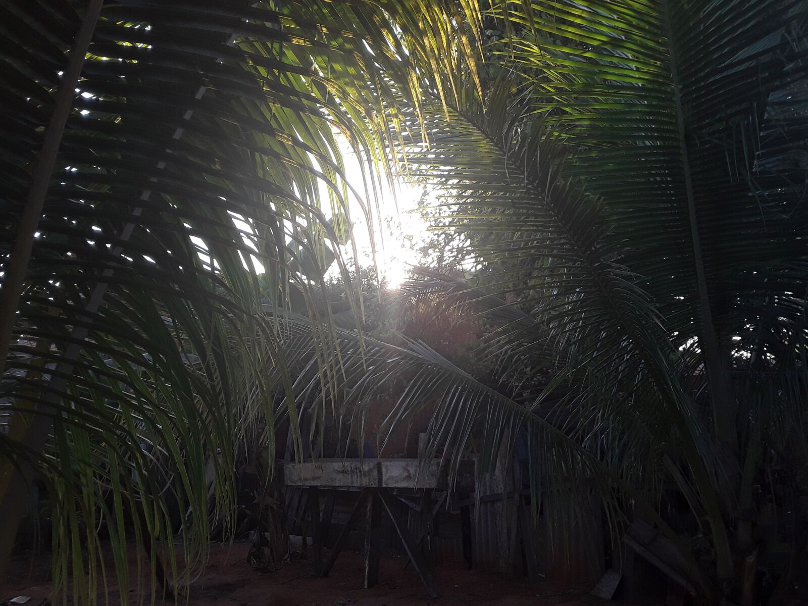 Samsung Galaxy J2 Core sample photo. Sun shine, through the photography