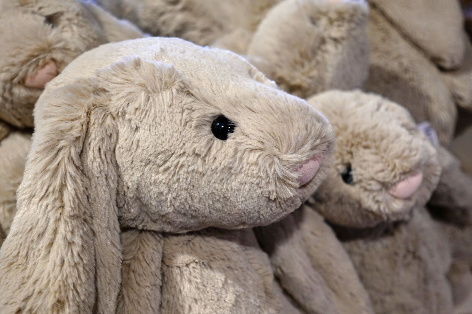 Sony DSC-RX100M5 sample photo. Toy, fluffy, rabbit photography