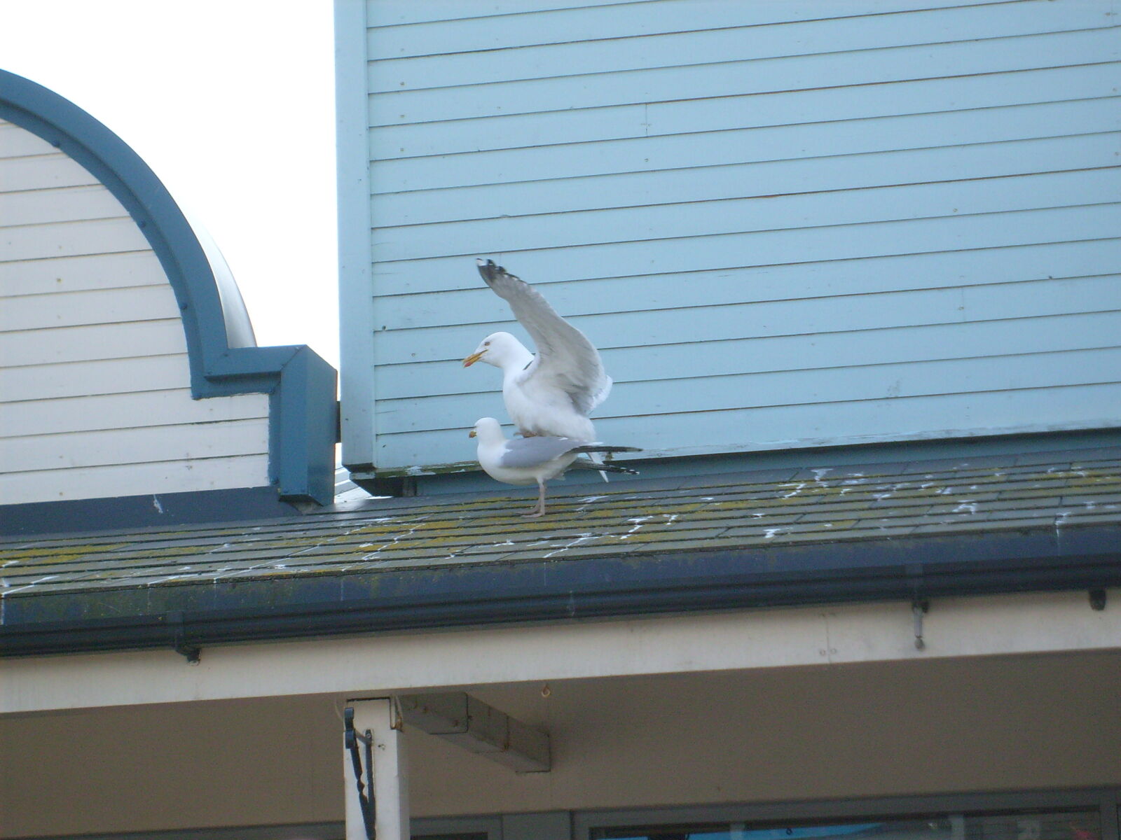 Samsung D70 / D75 / S730 / S750 sample photo