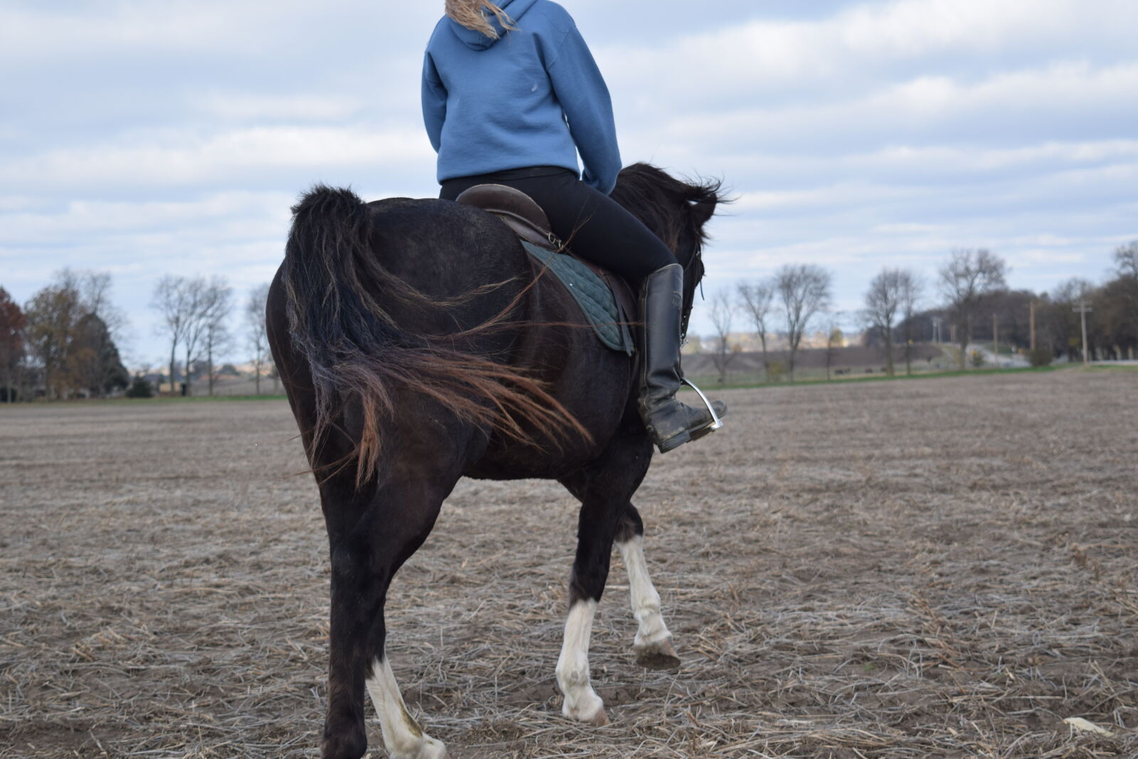 Nikon D3300 sample photo