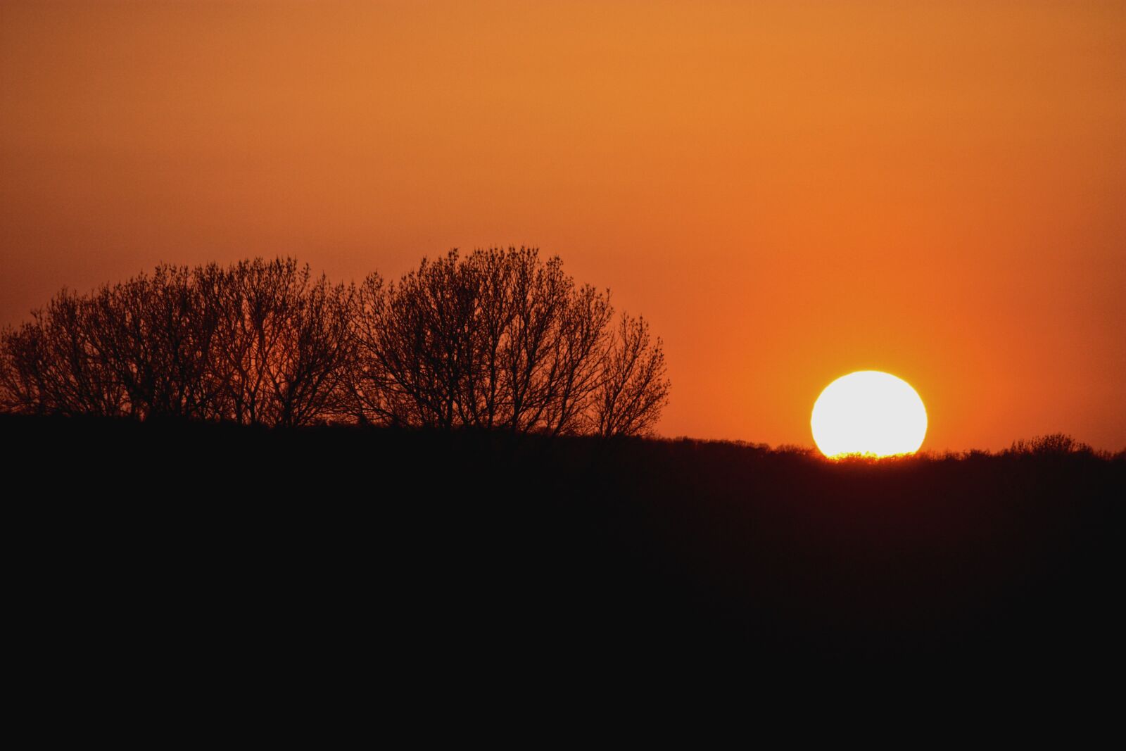 Canon EOS 450D (EOS Rebel XSi / EOS Kiss X2) sample photo. Sunset, dawn, dusk photography