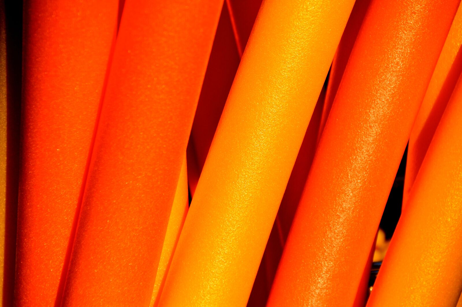 Nikon D3200 sample photo. Plastic, foam, floating noodle photography