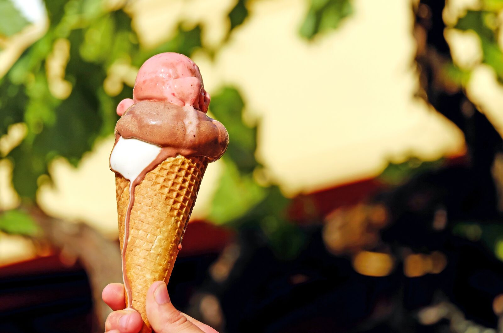 Fujifilm X-T10 + Fujifilm XC 50-230mm F4.5-6.7 OIS sample photo. Ice, ice cream, ice photography