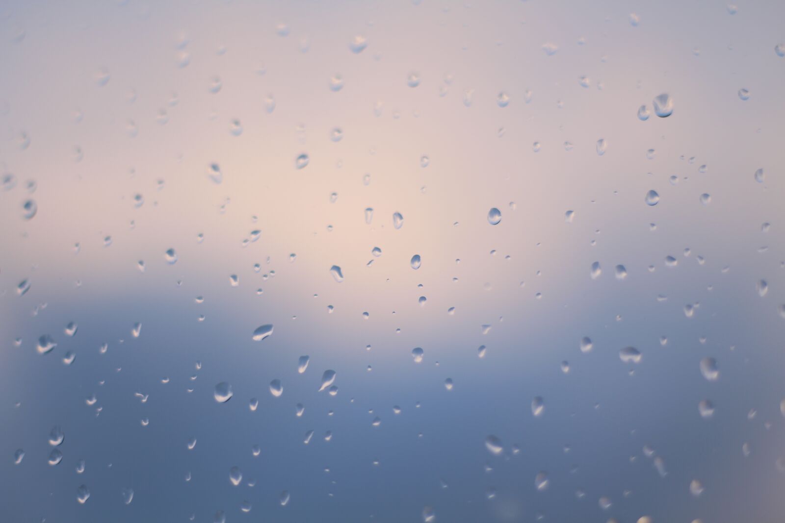 Canon EOS 700D (EOS Rebel T5i / EOS Kiss X7i) + Canon EF 50mm F1.8 STM sample photo. Rain, weather, drip photography