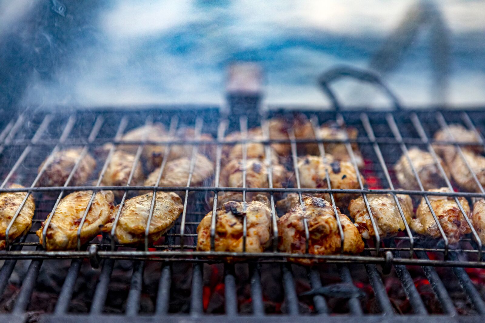 Canon EOS 5D Mark IV + Canon EF 24-70mm F2.8L USM sample photo. Grill, grilled chicken, chicken photography
