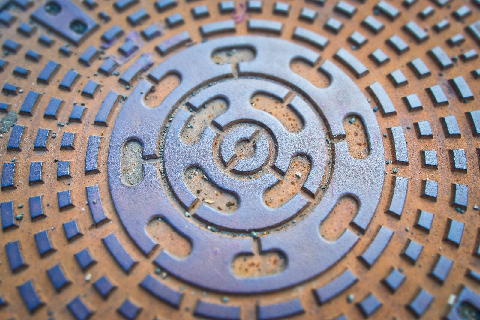 Olympus OM-D E-M10 sample photo. Gulli, steel, metal plate photography
