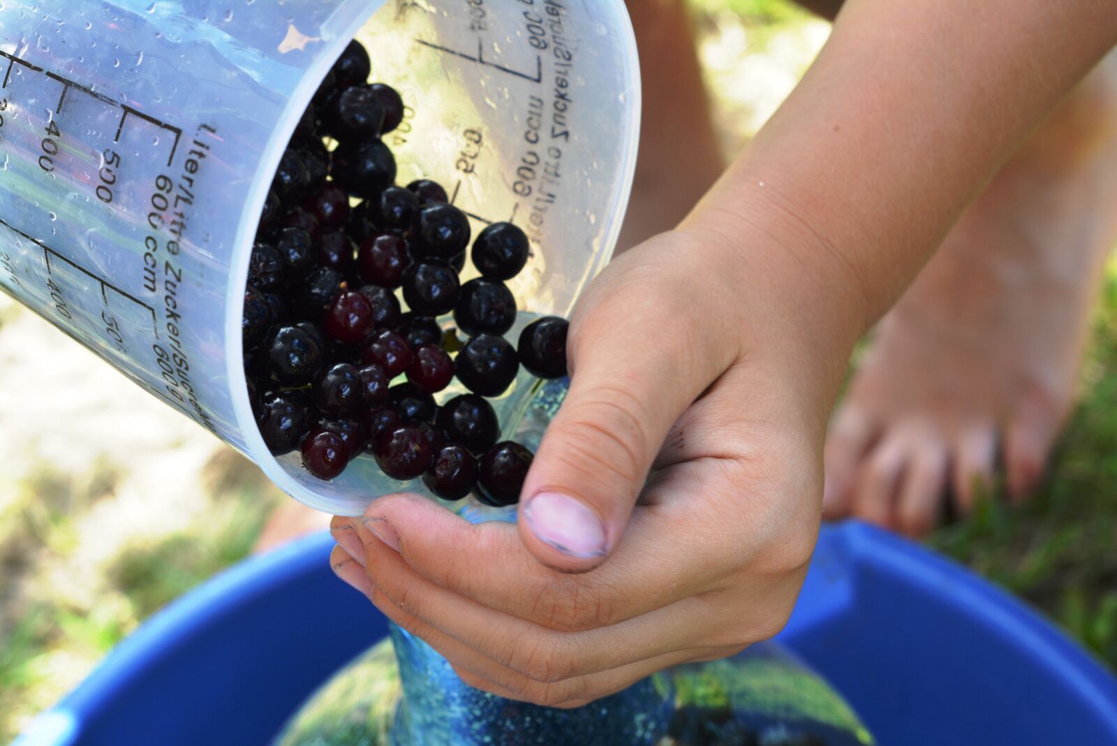 Nikon D5200 sample photo. Aronia, fruit, preparations photography
