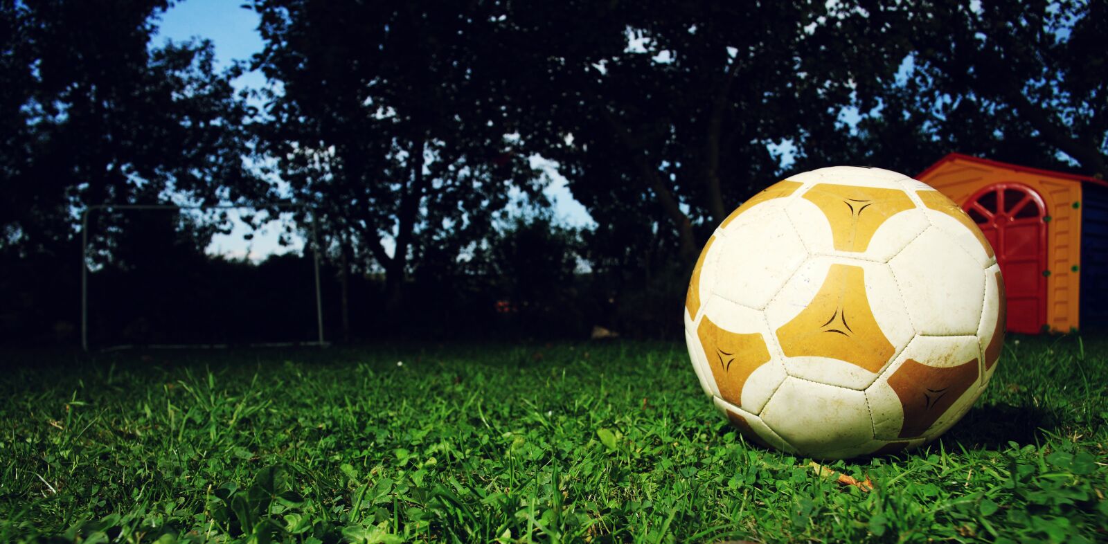 Canon EOS-1Ds Mark III sample photo. Ball, football, leather photography