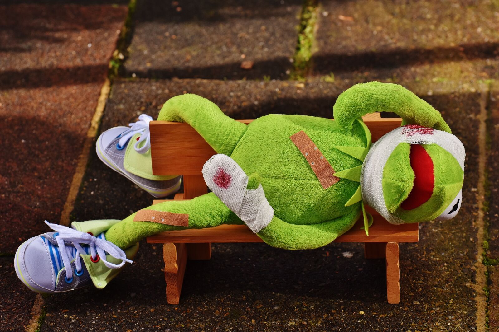 Nikon D7200 sample photo. Kermit, first aid, injured photography