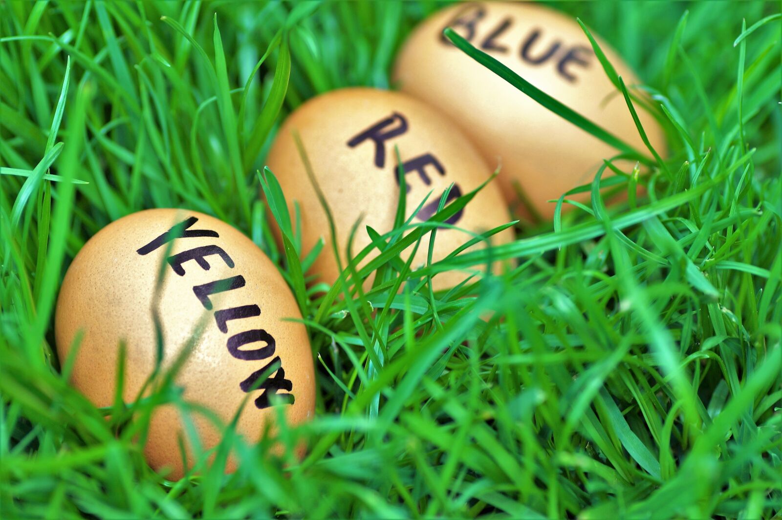 Sony SLT-A58 sample photo. Easter, eggs, easter eggs photography
