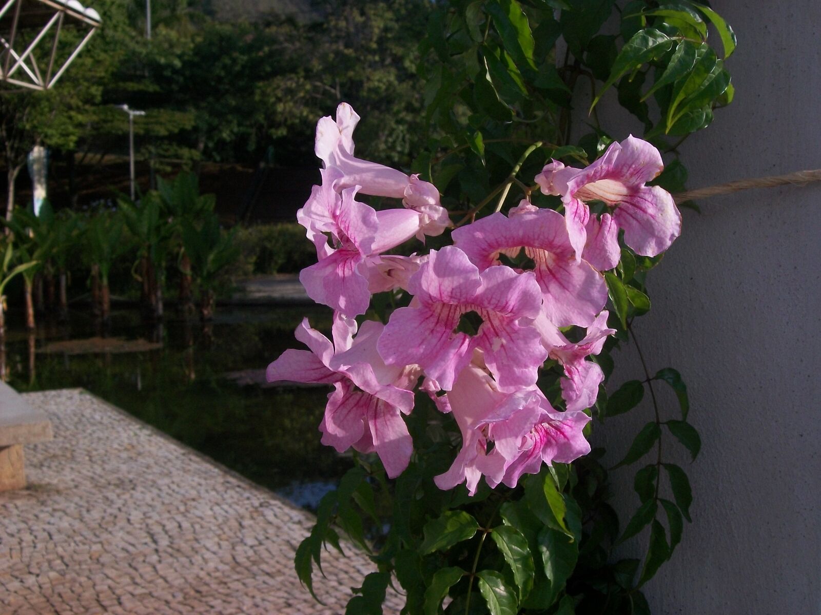 Kodak EASYSHARE C140 DIGITAL CAMERA sample photo. Minas 2024 !! photography