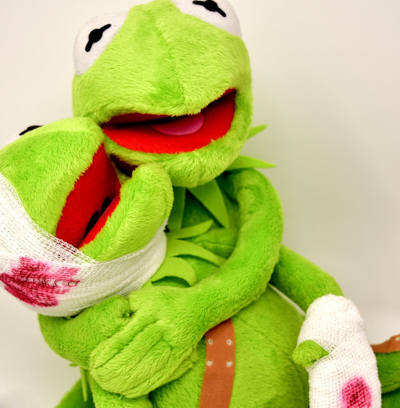 Nikon D7200 sample photo. Frogs, injured, kermit photography
