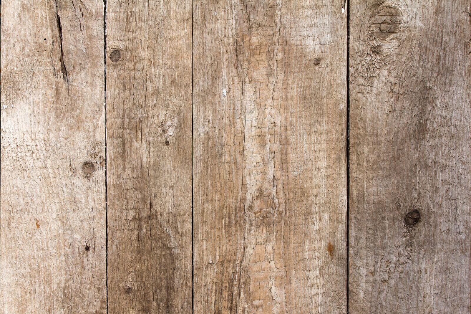 Canon EOS 60D sample photo. Texture, tree, wood photography