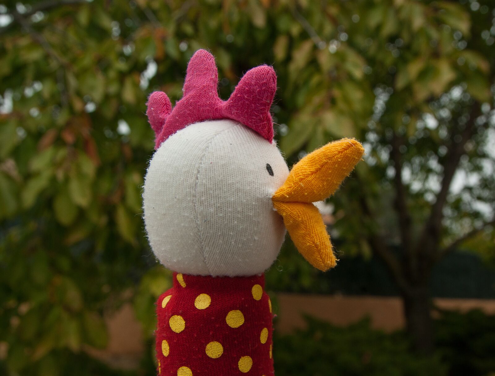Pentax K10D sample photo. Cock, chicken, plush photography