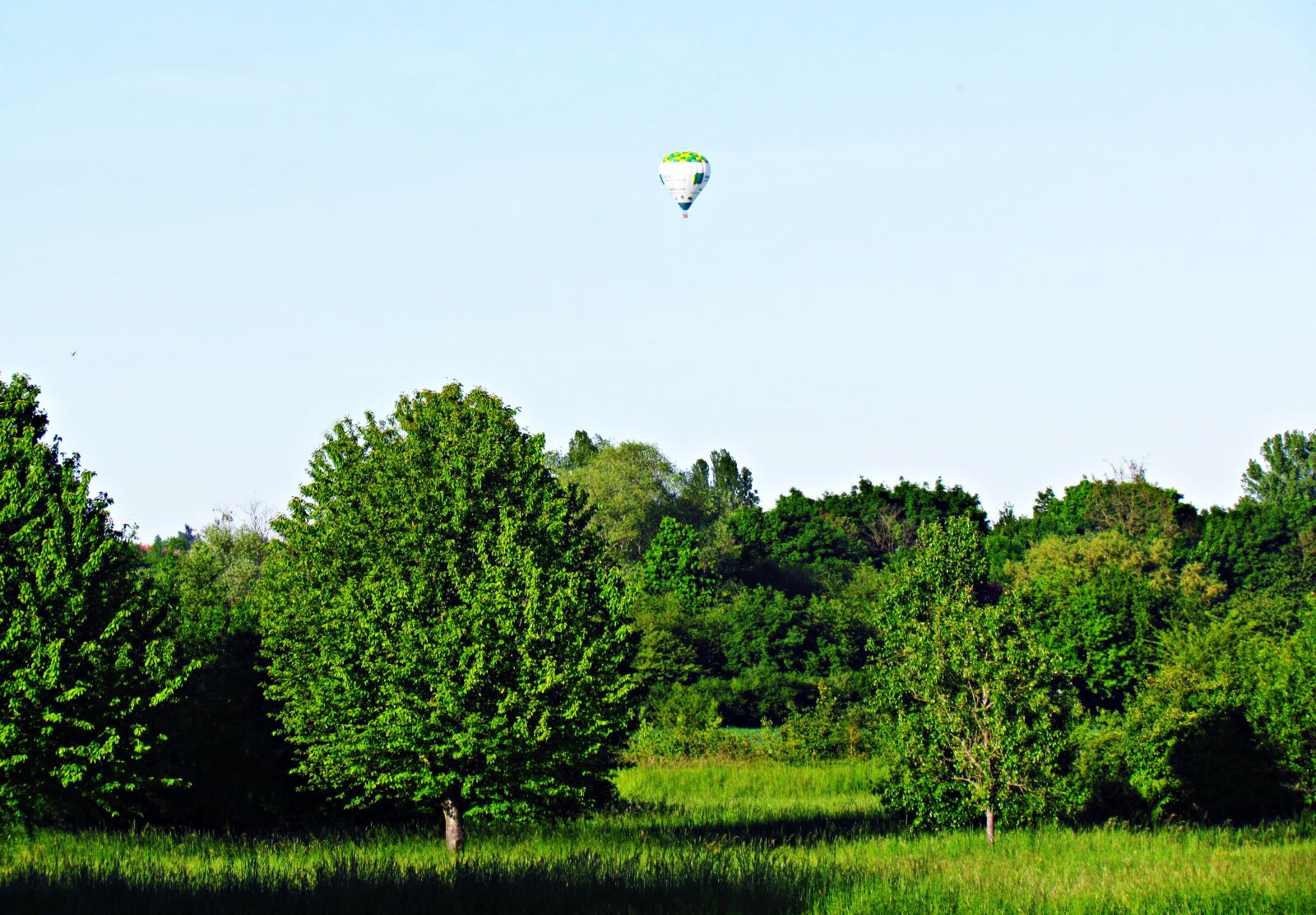 Canon PowerShot SX30 IS sample photo. Green, landscape, balloon photography