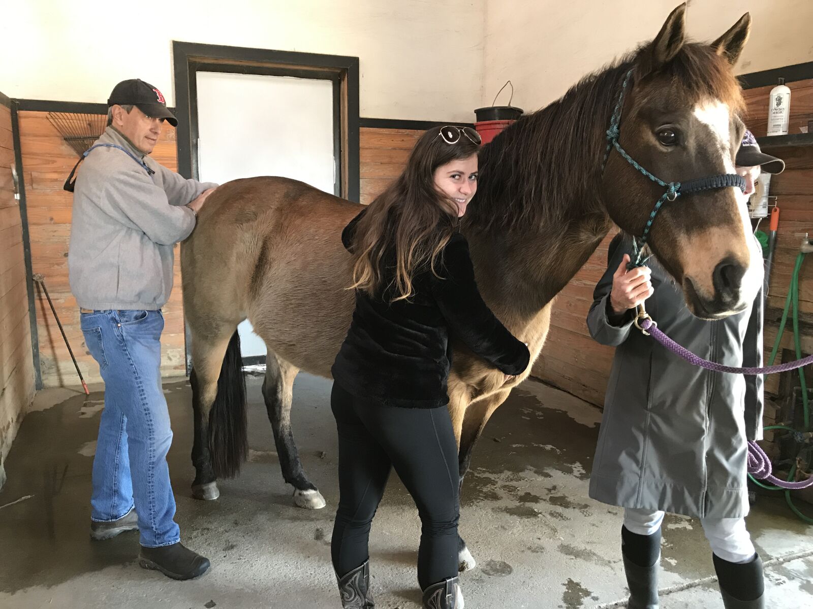 iPhone 7 back camera 3.99mm f/1.8 sample photo. Horse therapy, jin shin photography