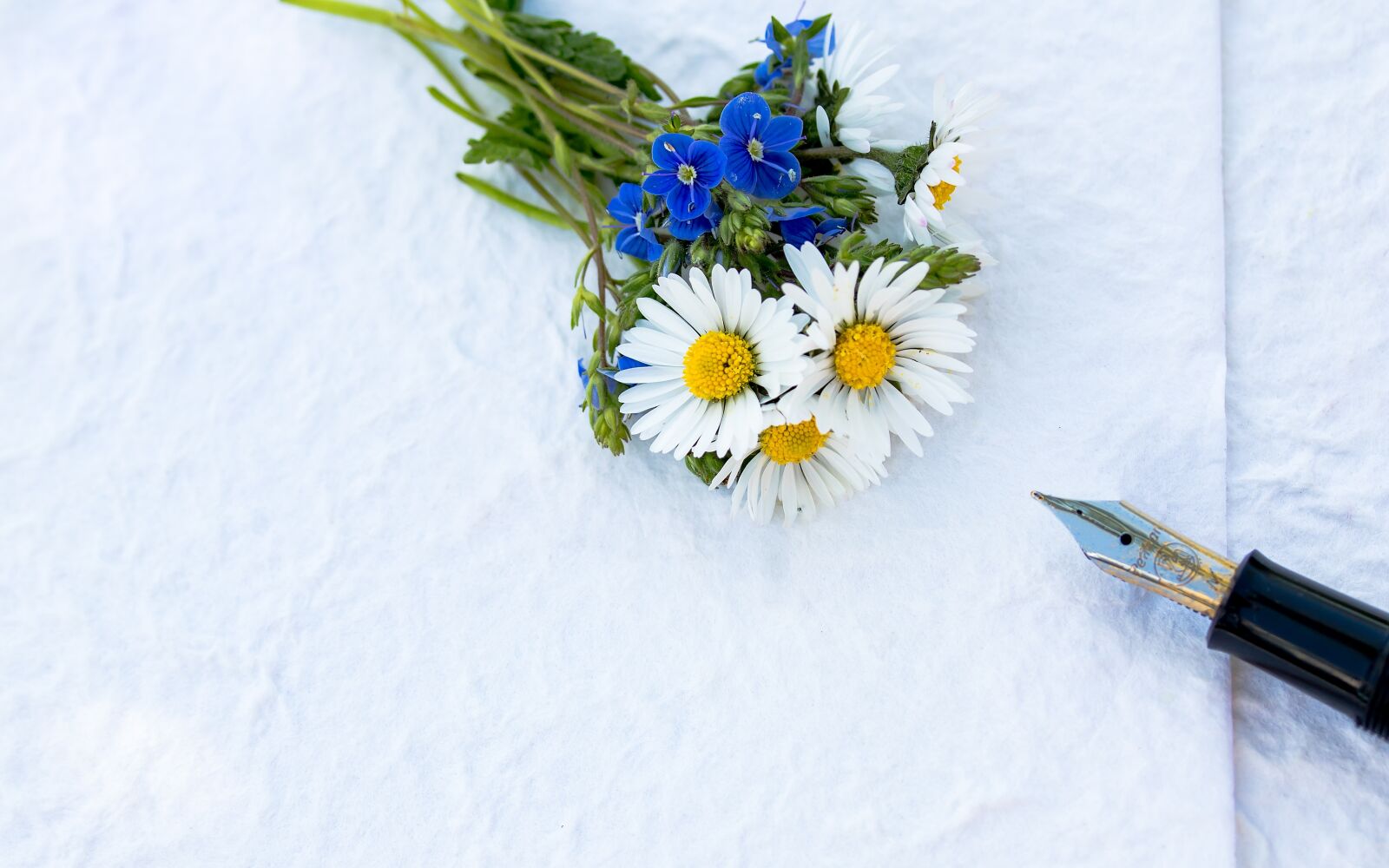 Canon EF-S 60mm F2.8 Macro USM sample photo. Greeting card, thank you photography