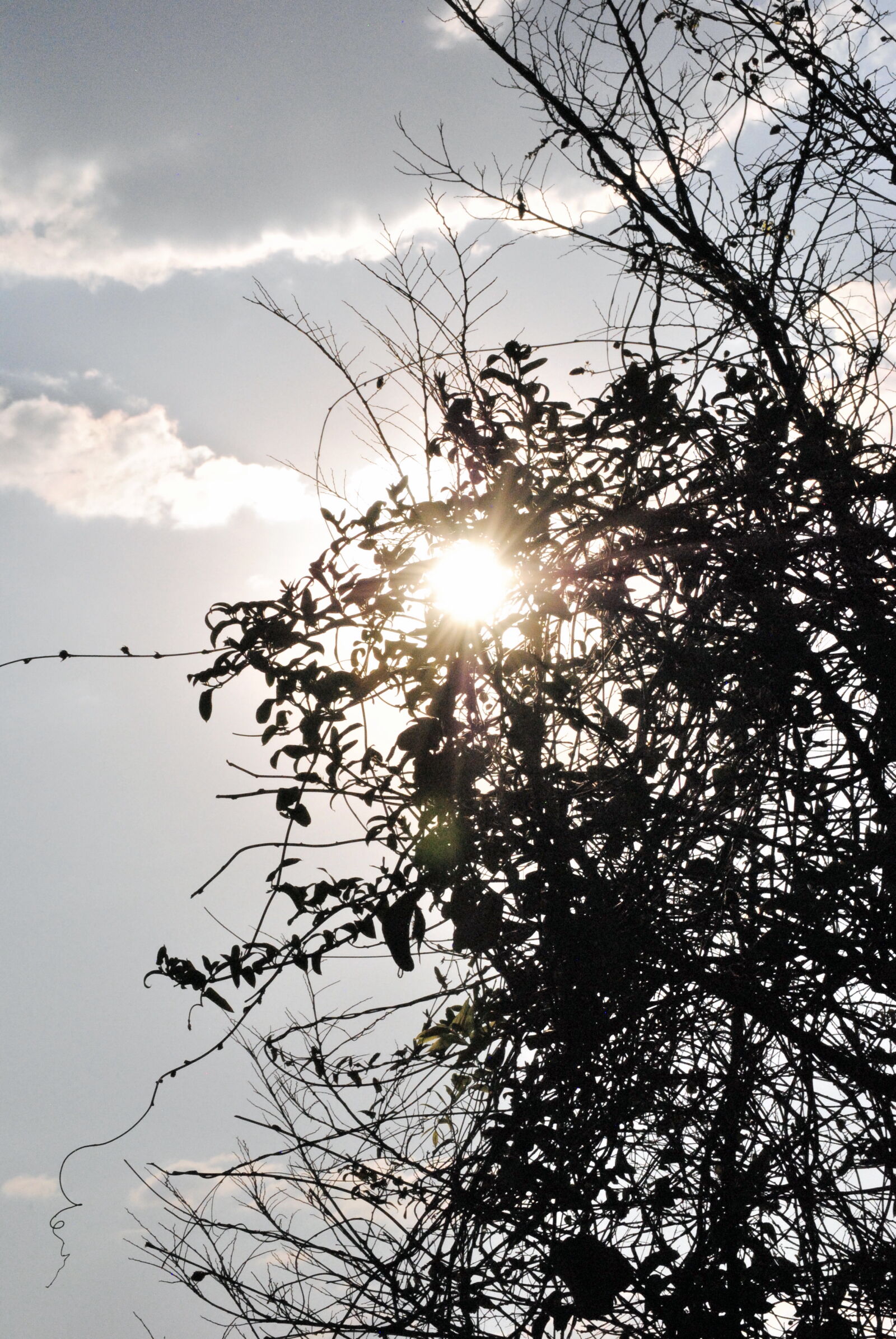 Nikon D3000 sample photo