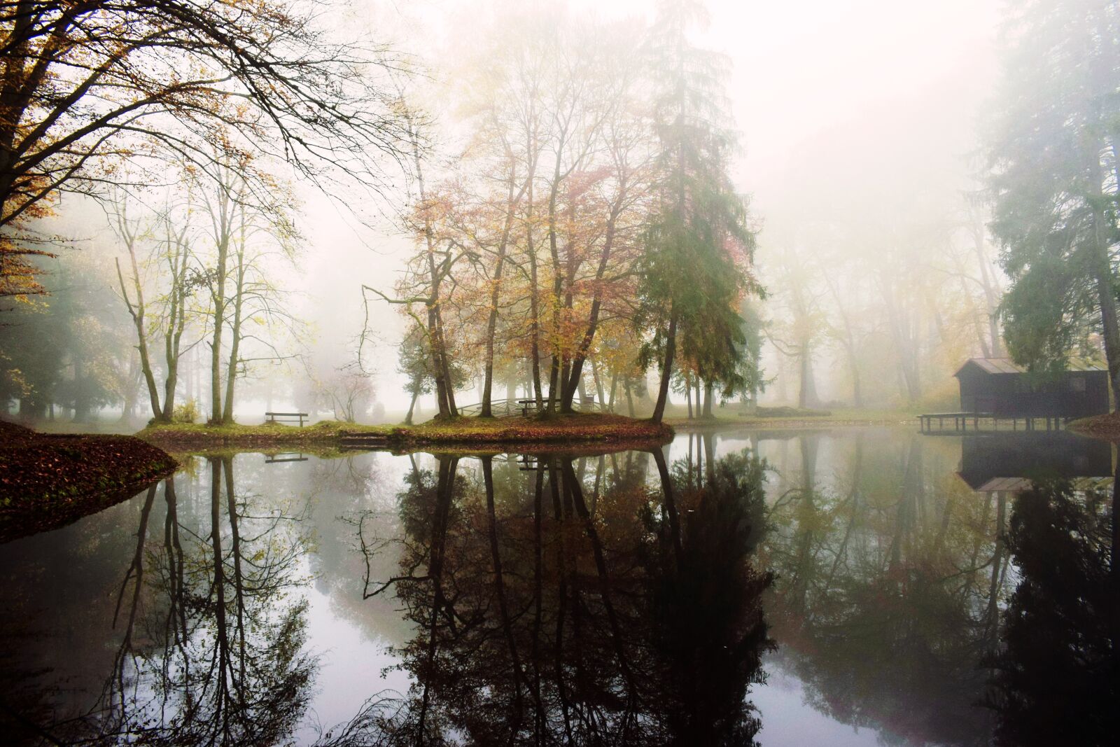 Nikon D5300 sample photo. Lake, water, park photography