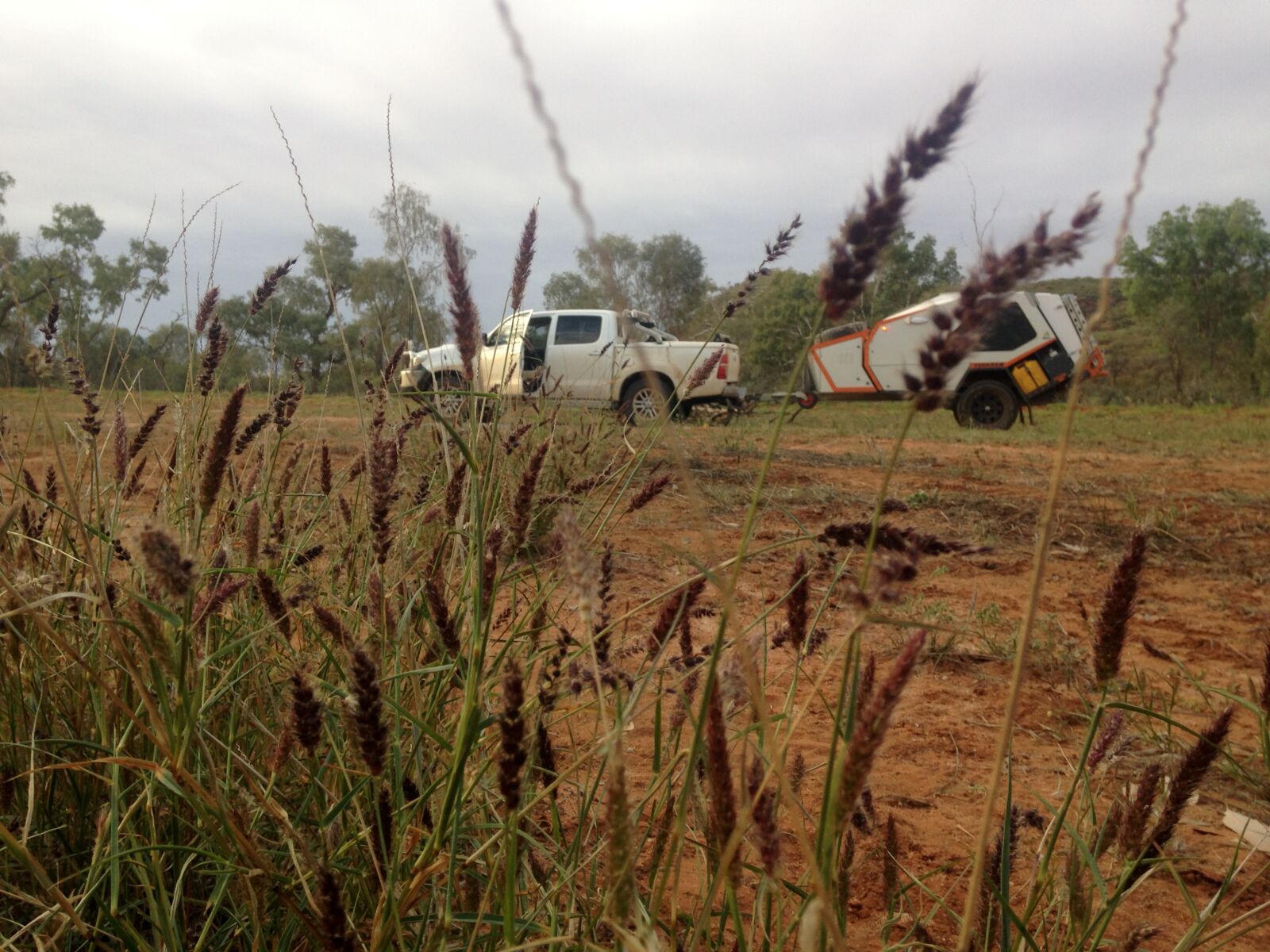 iPhone 5c back camera 4.12mm f/2.4 sample photo. Camping, nature, outback, outdoors photography