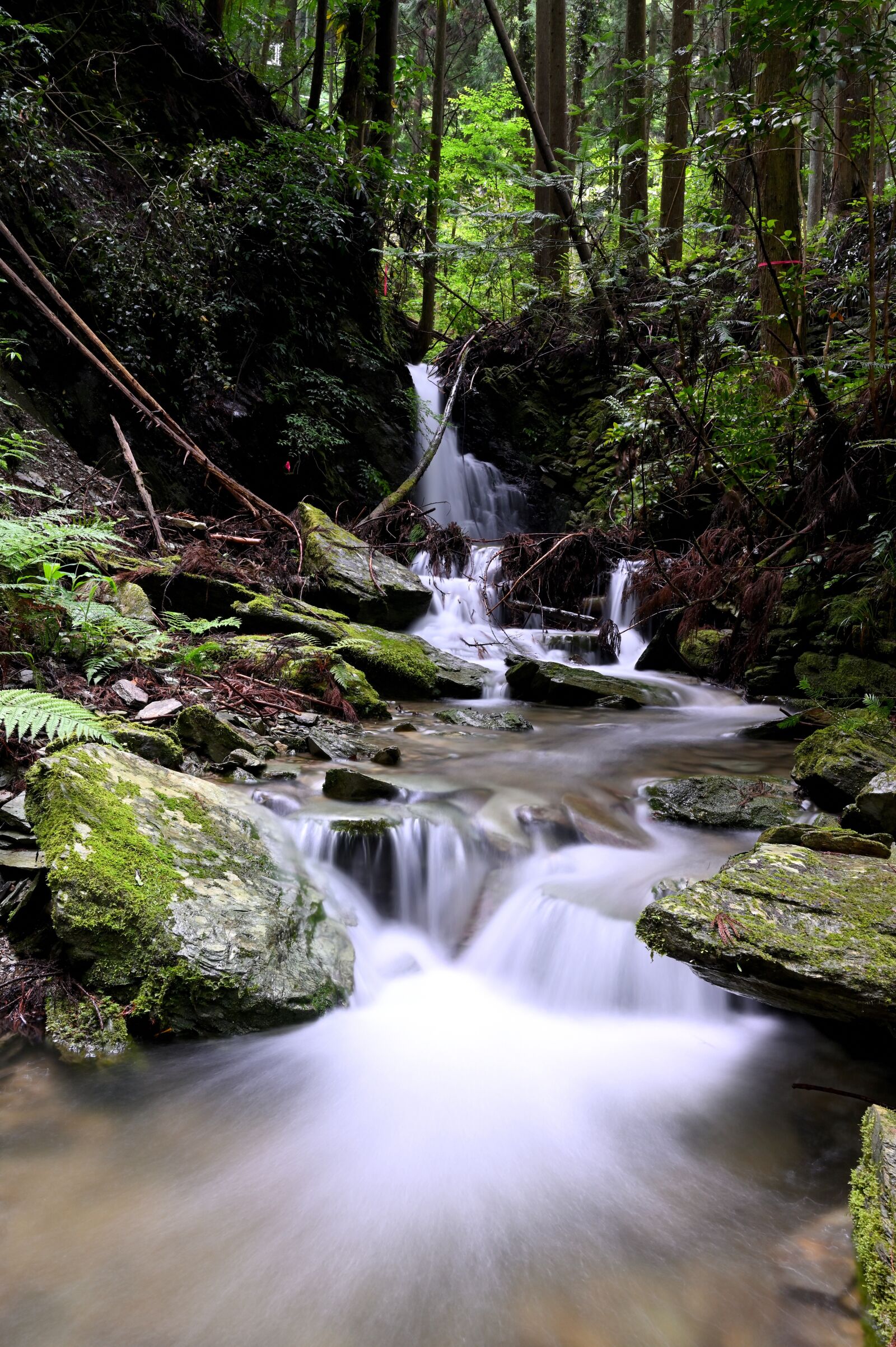 Nikon Z6 + Nikon Nikkor Z 24-70mm F4 S sample photo. River, valley, natural photography