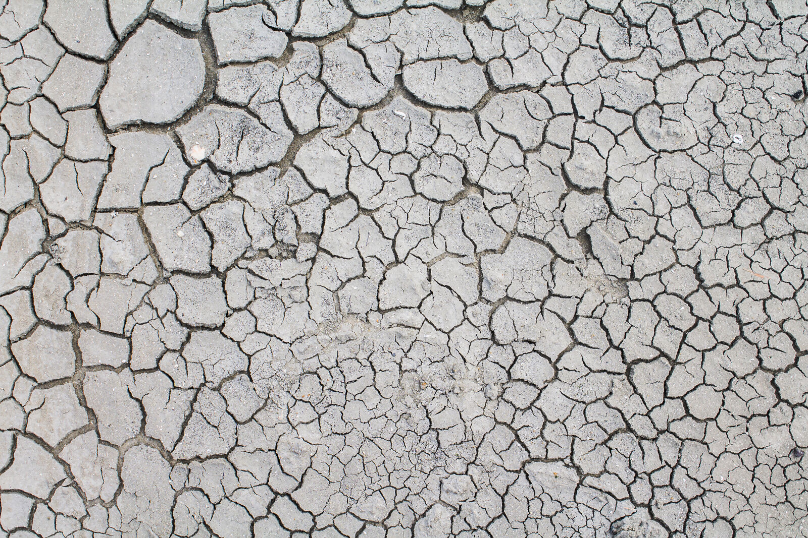 Canon EOS 1100D (EOS Rebel T3 / EOS Kiss X50) sample photo. Background, sand, white photography