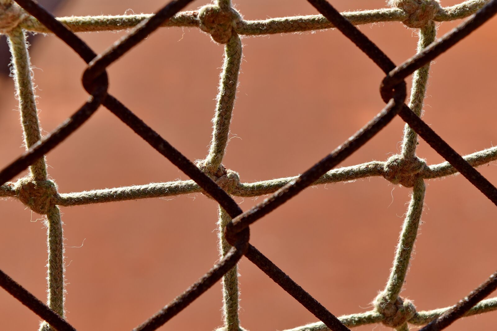 Nikon D5500 sample photo. Fence, fence line, material photography