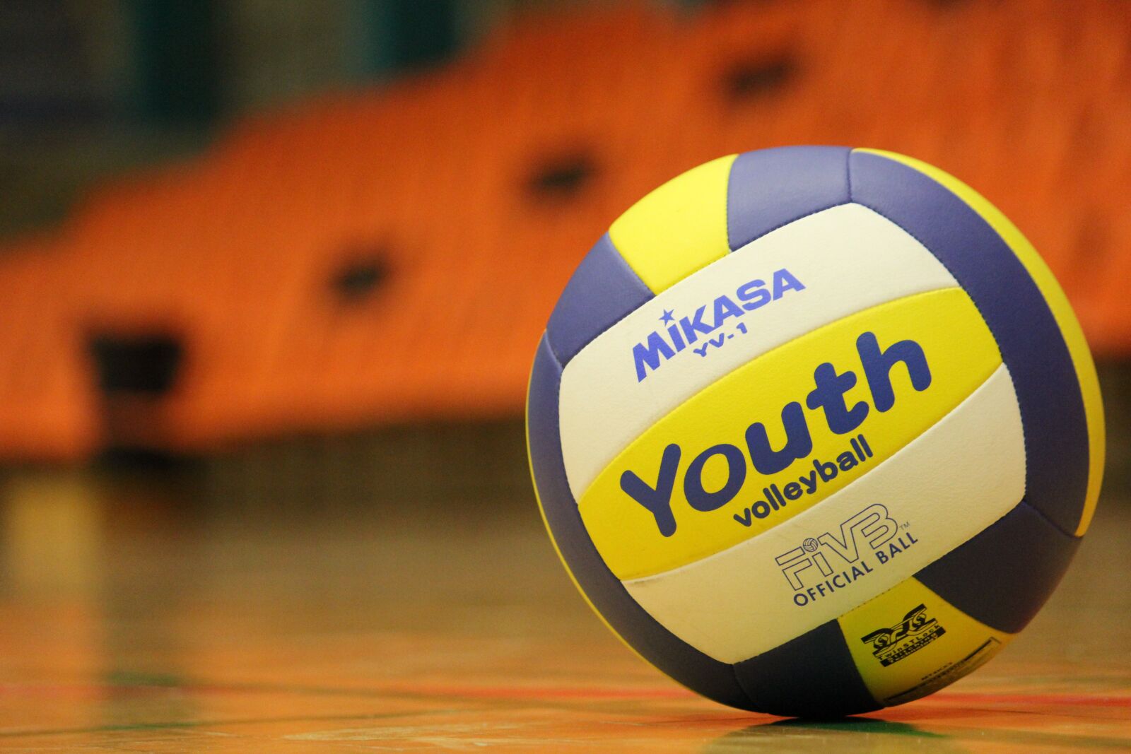 Canon EOS 600D (Rebel EOS T3i / EOS Kiss X5) sample photo. Ball, volleyball, training photography