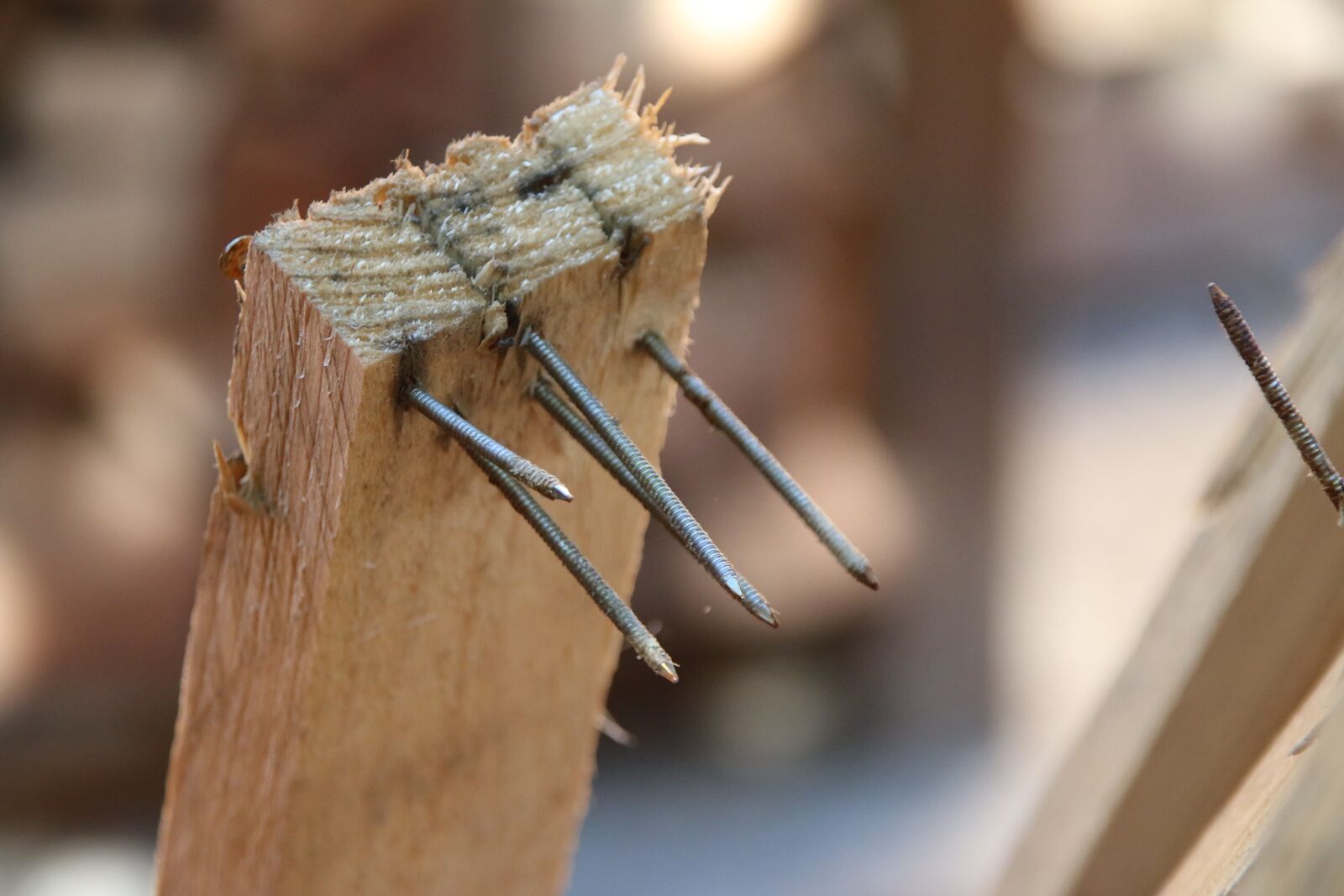 Canon EOS 70D sample photo. Nails, batten, wooden slat photography