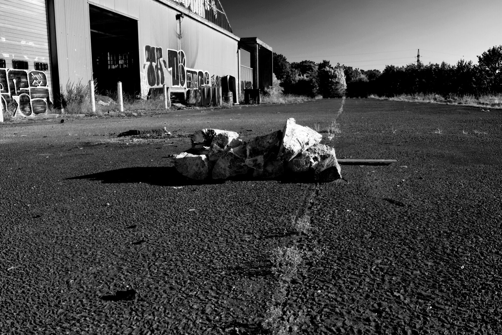 Nikon D3300 sample photo. Black and white, wood photography