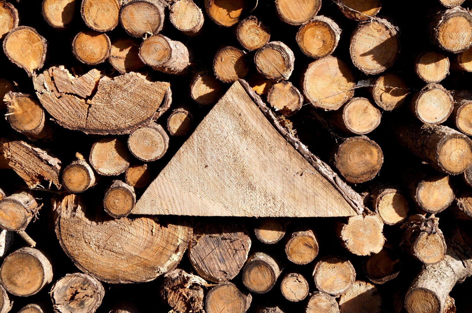 Sony SLT-A37 sample photo. Wood, stack, firewood photography