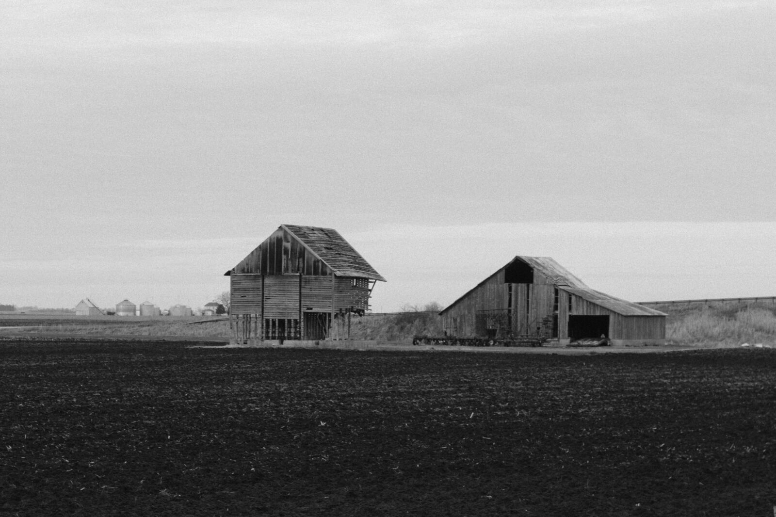 Canon EOS 550D (EOS Rebel T2i / EOS Kiss X4) sample photo. Black, and, white, field photography