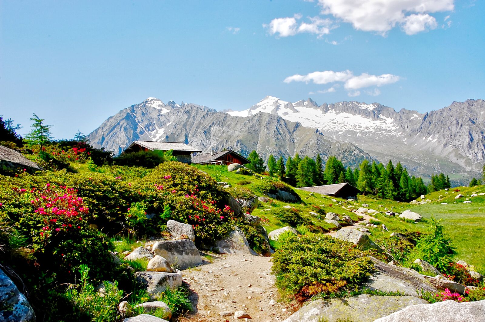 Nikon D40 sample photo. Presanella, dolomites, brenta photography