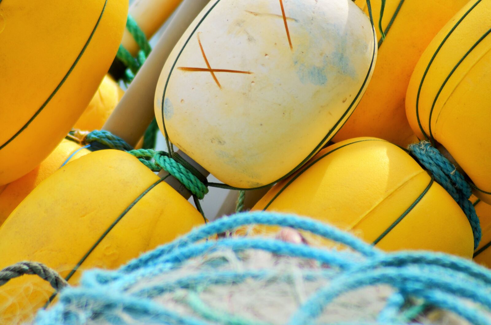 Nikon D5100 sample photo. Buoy, float, net photography