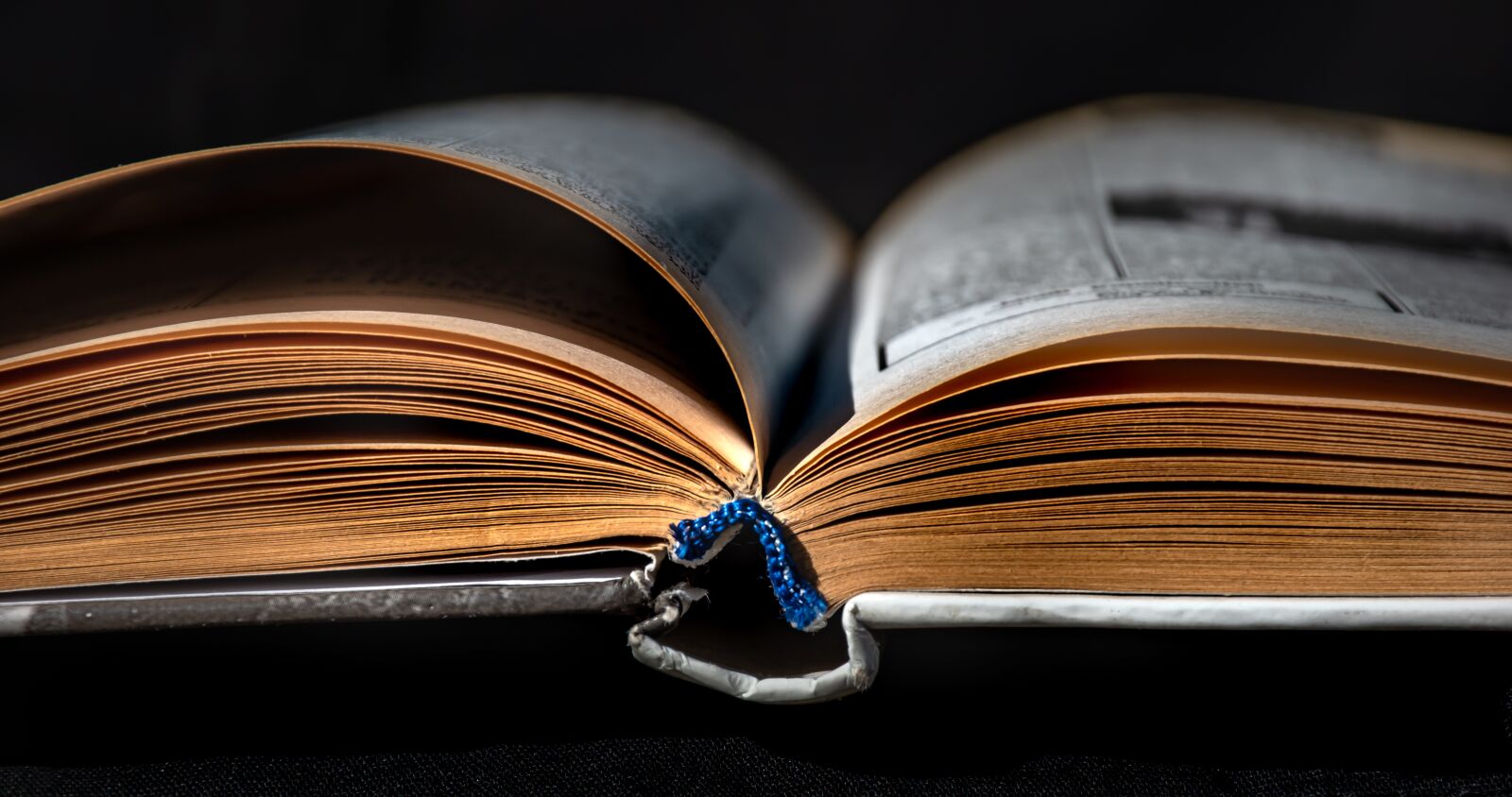 Nikon D5600 sample photo. Book, old, library photography