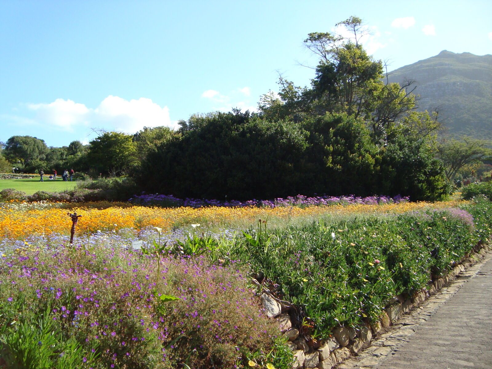 Sony Cyber-shot DSC-W120 sample photo. Botanical, gardens, flowers, mountain photography