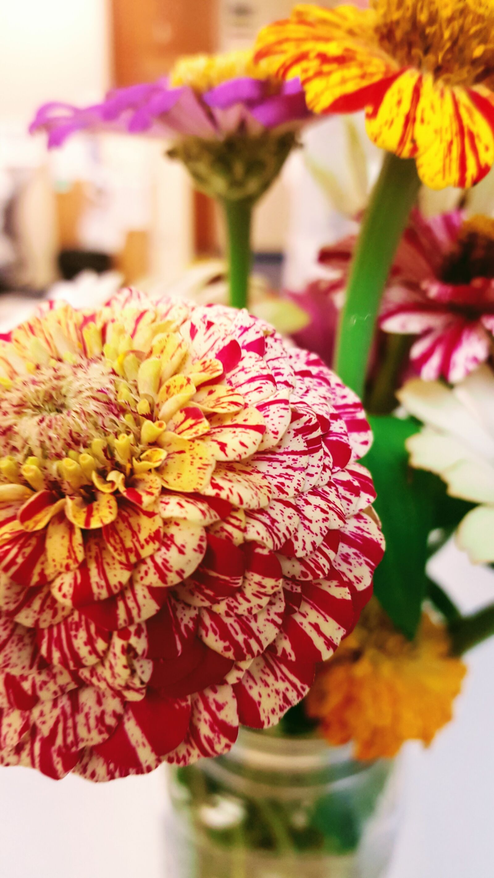 Samsung Galaxy S6 sample photo