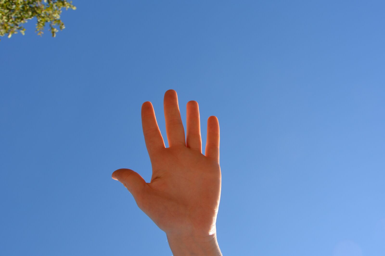 Nikon D5200 sample photo. Ma n, fingers human photography