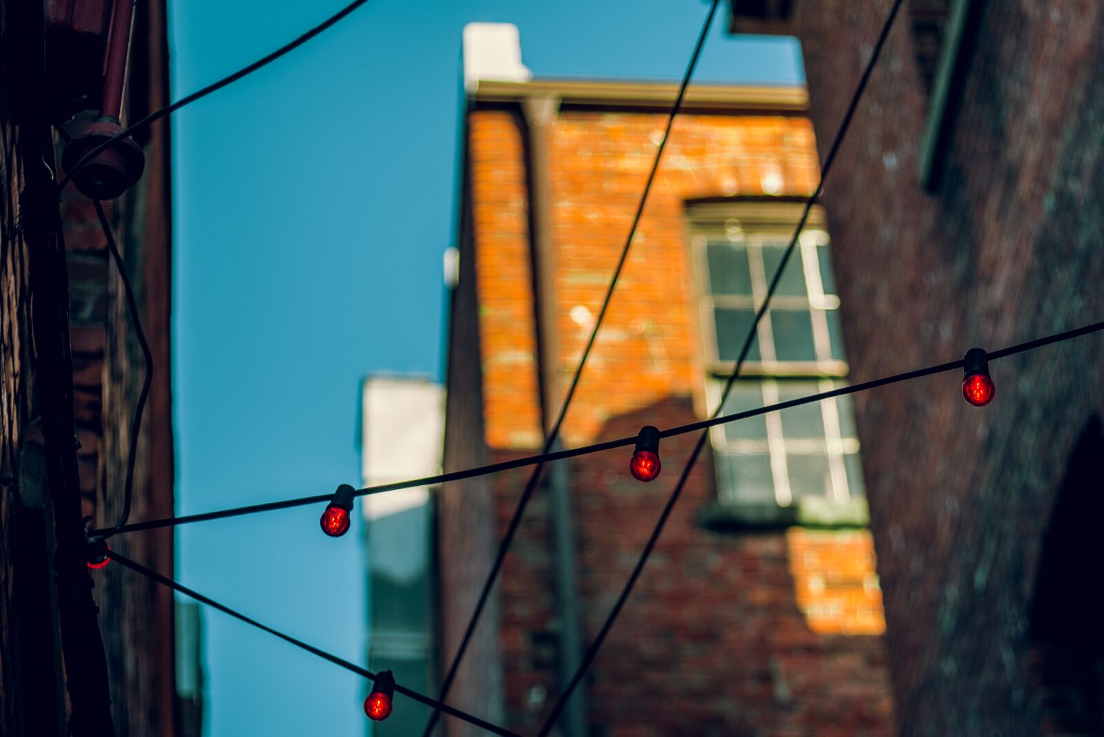 Nikon D750 sample photo. Bulbs, sky, street photography