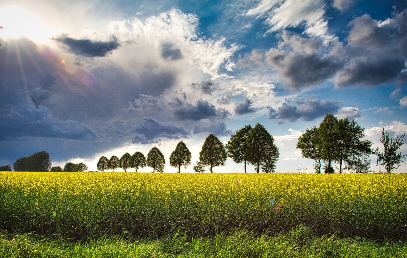 Canon EOS 6D + EF28-70mm f/2.8L USM sample photo. Weather, oilseed rape, landscape photography