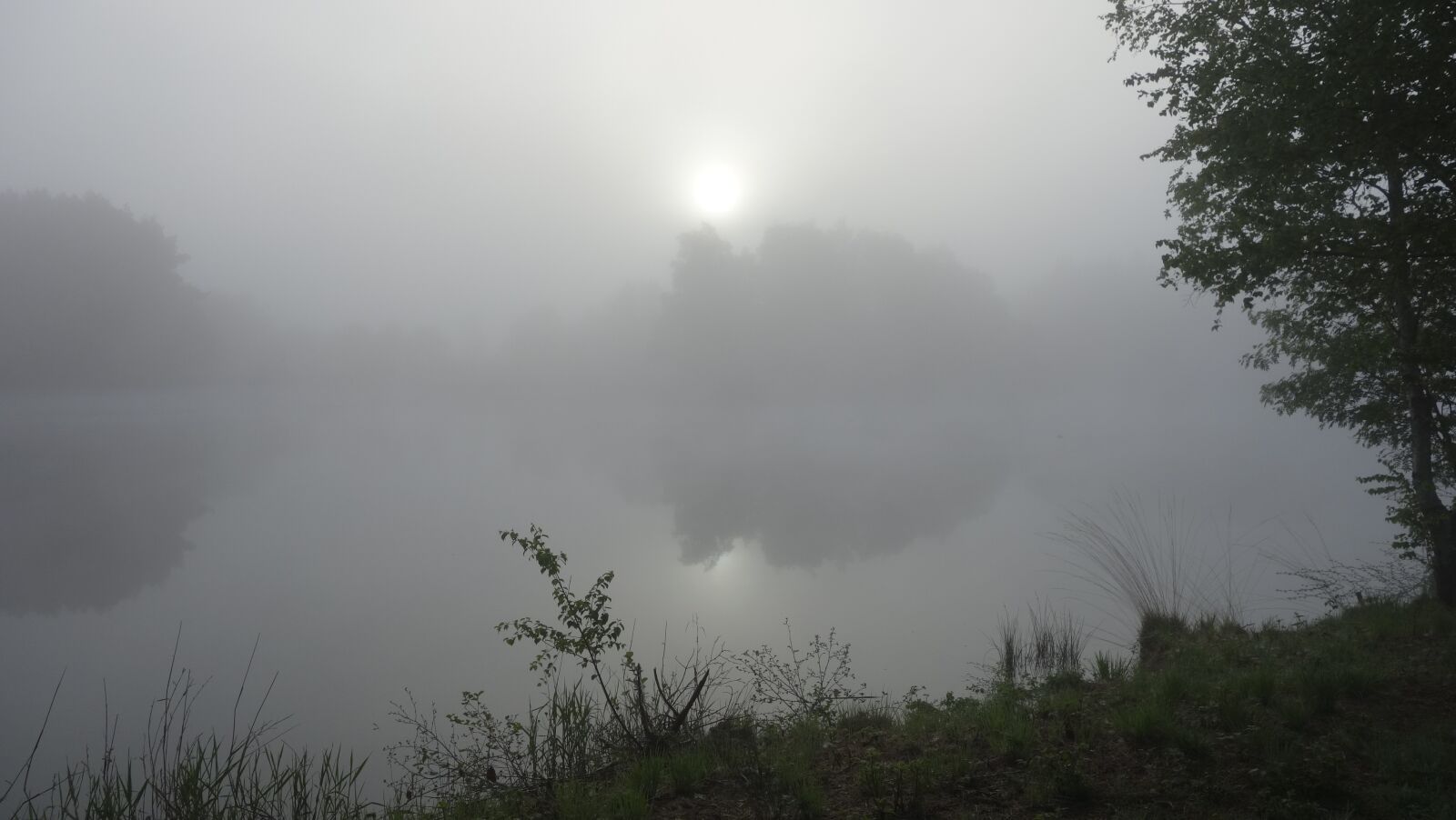 Sony Cyber-shot DSC-RX100 sample photo. Morning mist, sunrise, lake photography